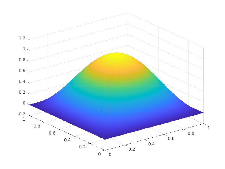 Picture of numerical state in P1 spanned space