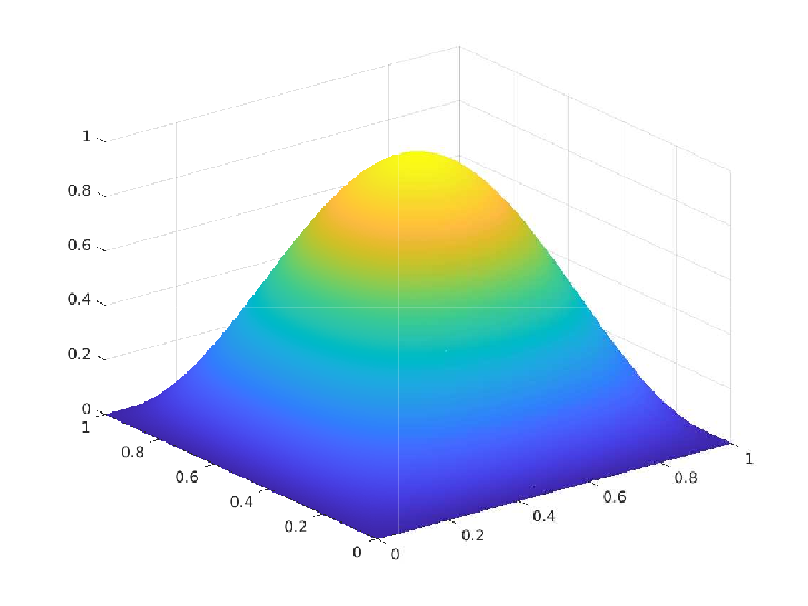 Picture of numerical state in P1 spanned space